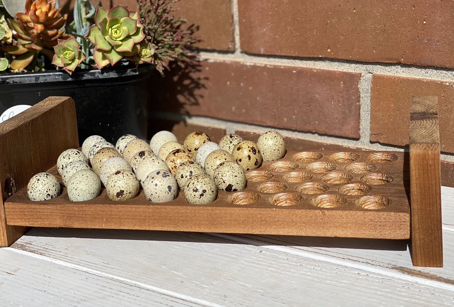 XL Quail Egg Holder
