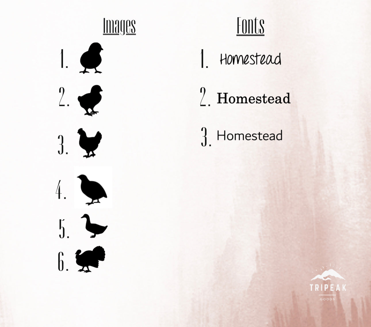 Customized 12 Count Egg Holders