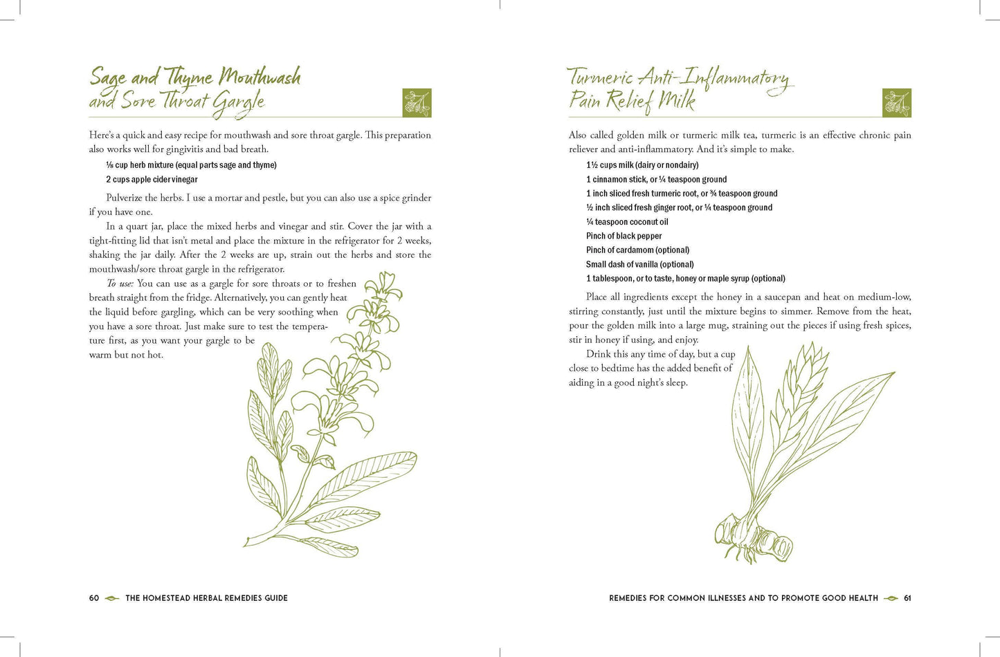 The Homestead Herbal Remedies Guide