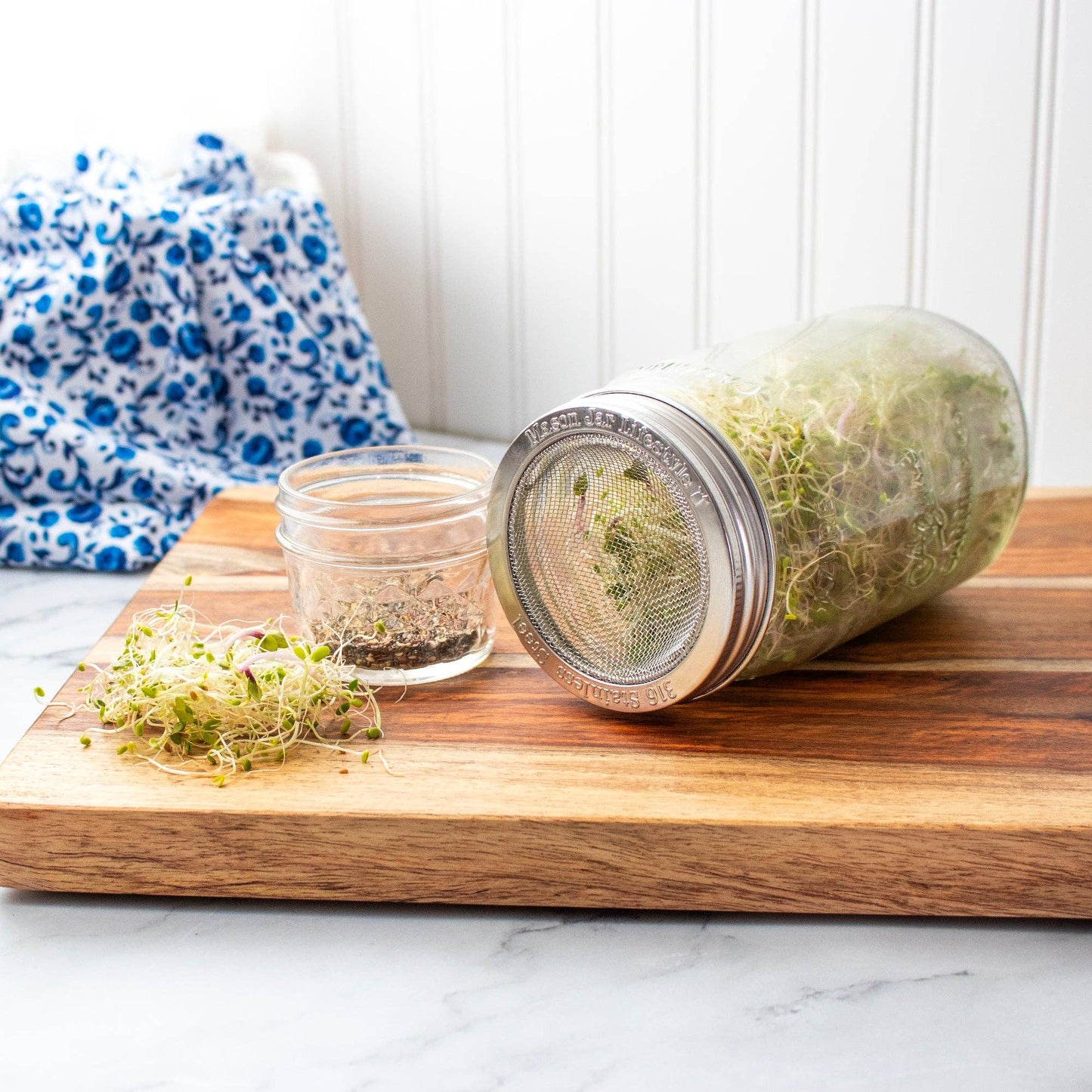 Curved Rust Proof Sprouting Lid and Band for Mason Jars