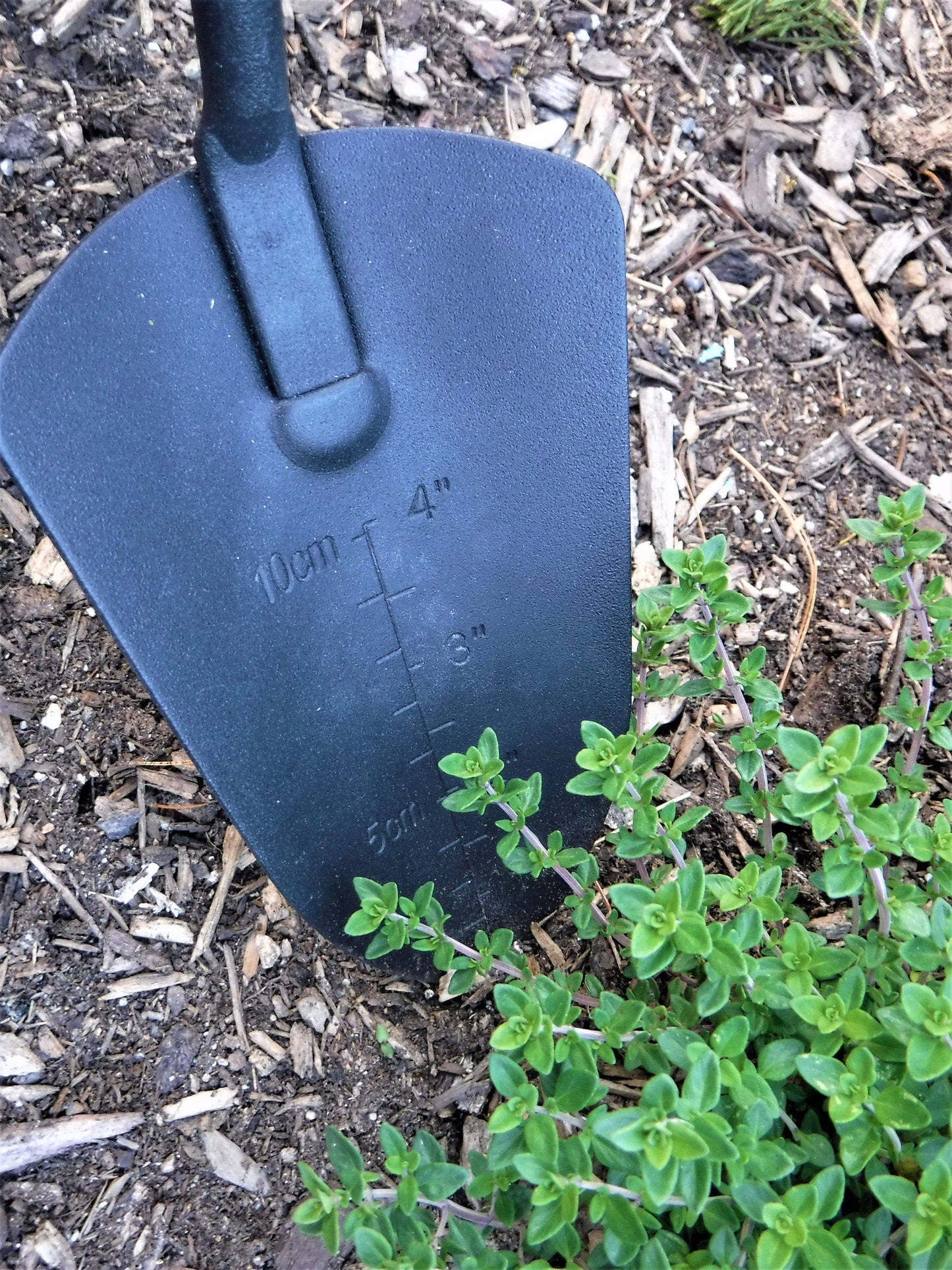 Garden Tools Set with Wooden Handles and Leather Hangs