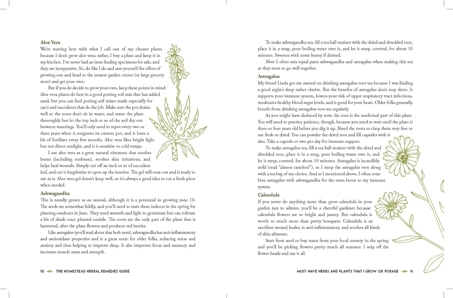 The Homestead Herbal Remedies Guide