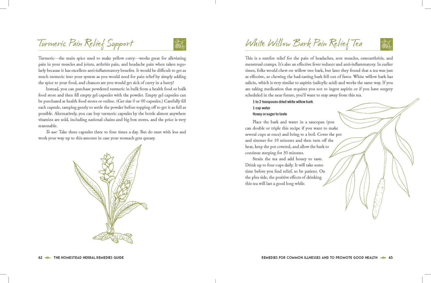 The Homestead Herbal Remedies Guide