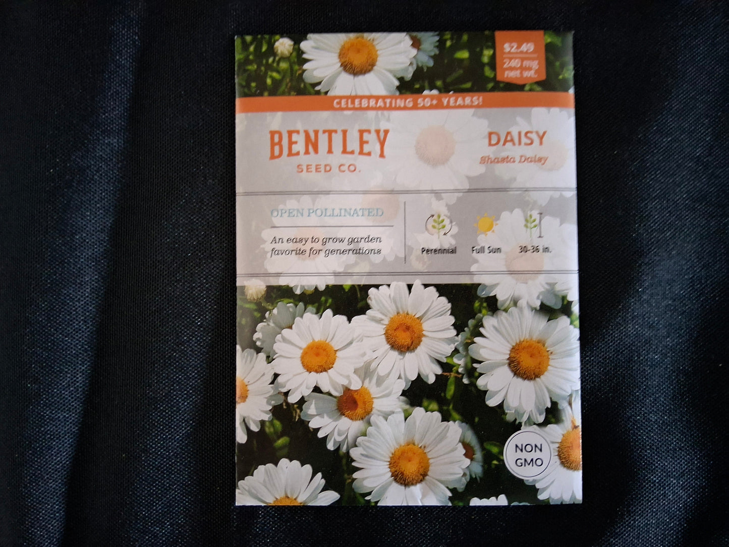 Shasta Daisy Seed Packets - 87