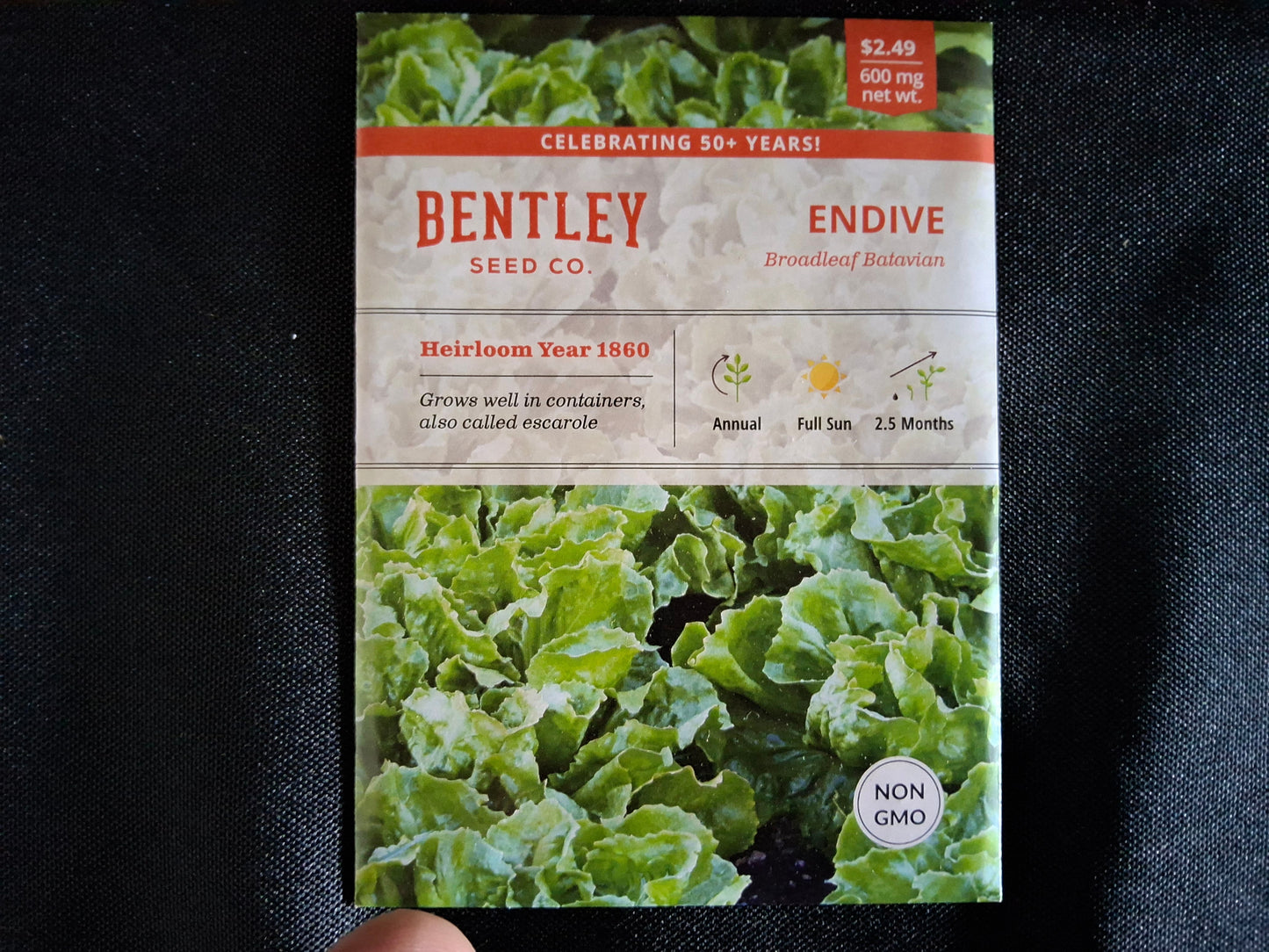 Endive, Broadleaf Batavian Seed Packets -577