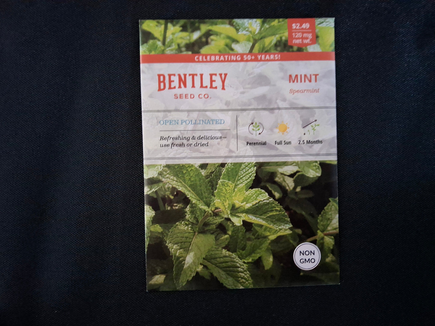 Mint, Spearmint Seed Packets - 70