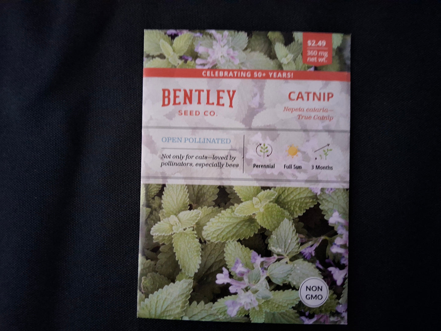 Catnip Seed Packets - 63