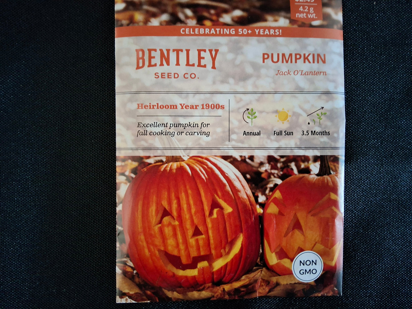Pumpkin, Jack O'Lantern Seed Packets - 40