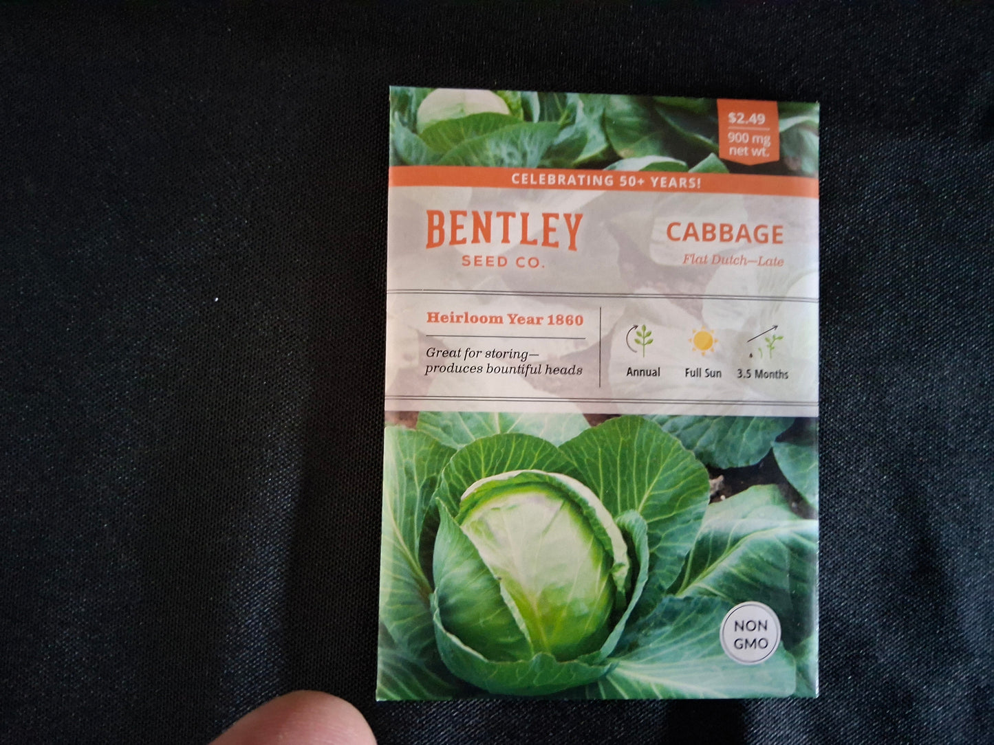 Cabbage, Late Flat Dutch Seed Packets - 11