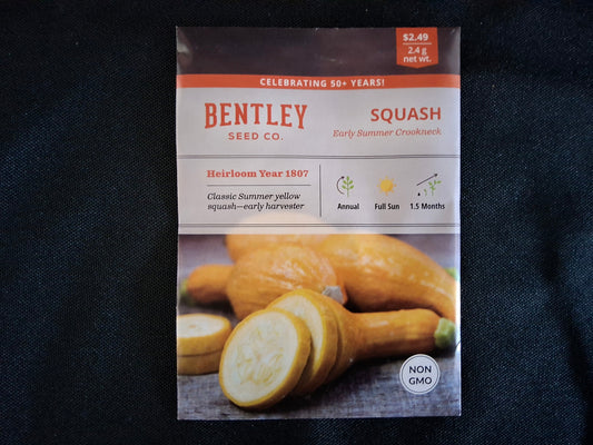 Squash, Yellow Crookneck Seed Packets - 48